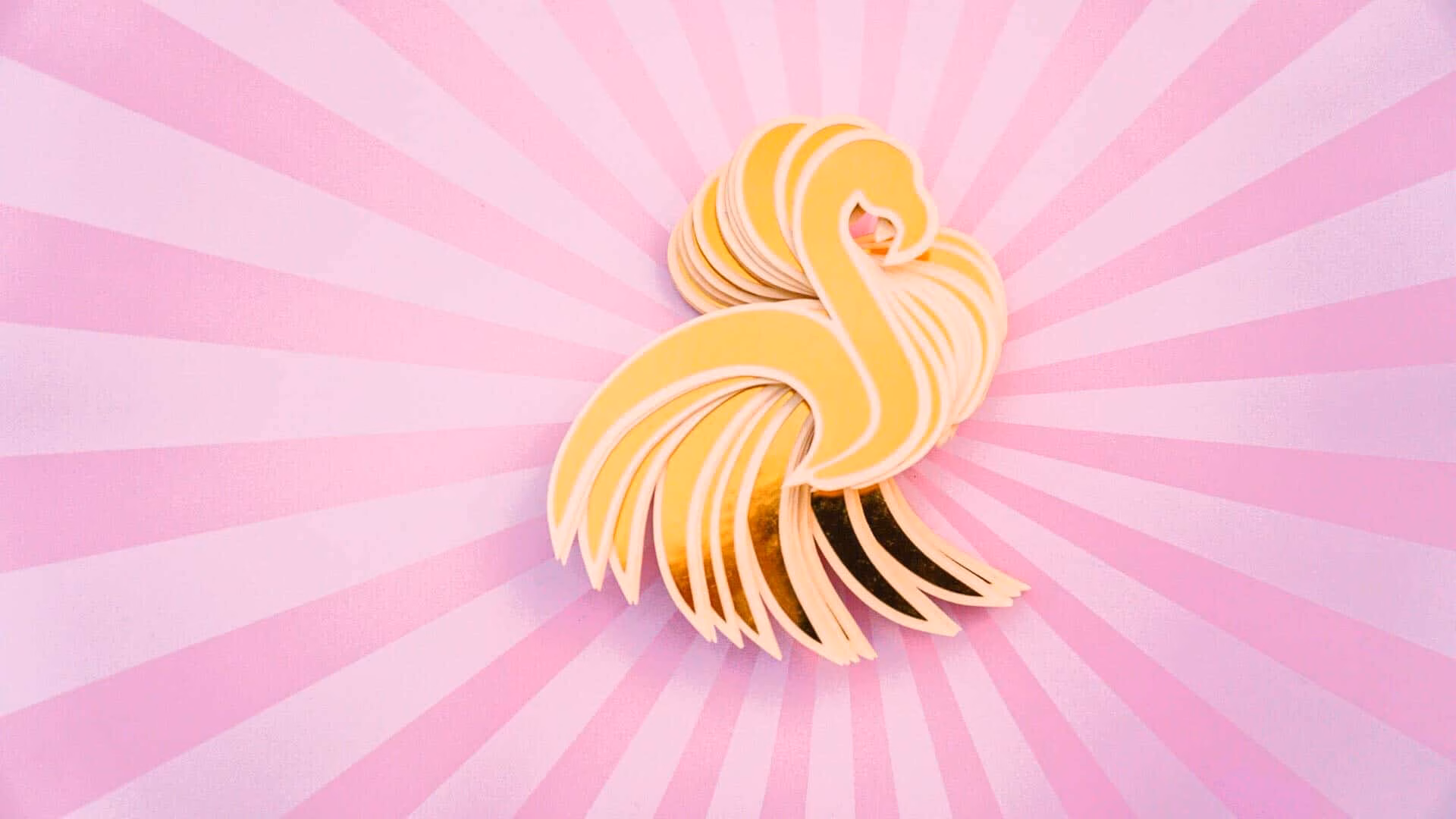 Processed with VSCO with kk2 preset